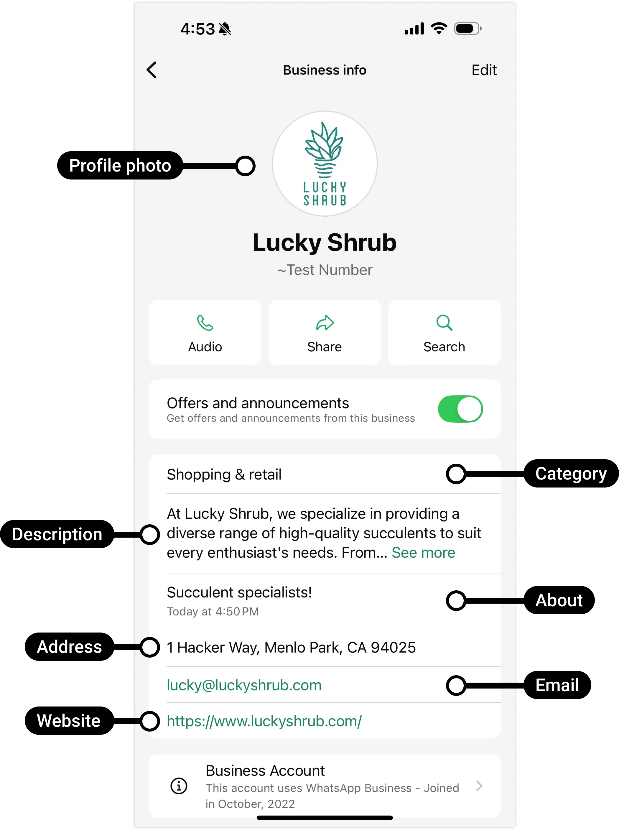 Business profile information in WhatsApp
